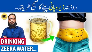 How To Drink Zeera Water To Lose Belly Fat Fast  5 Uses Of Cumin Water For Weight Loss [upl. by Metsky]