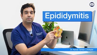 Epididymitis A challenging cause of Scrotal Pain  Andkosh main Dard [upl. by Goldenberg250]