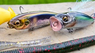 Bait Finesse Tricks For Spring And Summer Bass Fishing  Karashi Popper Soft Jerkbait [upl. by Edwards617]