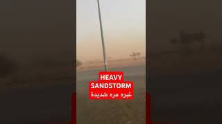 HEAVY SANDSTORM NATURE ARABIAN DESERT SAUDI ARABIA JAZAN  طوفان middleeast viral shorts [upl. by Nuawed]