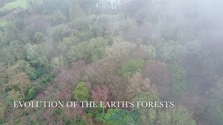 Evolution of the Earths Forests [upl. by Orimisac]