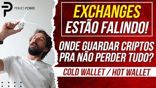 O MELHOR LUGAR PARA GUARDAR SUAS CRIPTOS Diferença entre EXCHANGE HOT WALLET E COLD WALLET LEDGER [upl. by Immat517]