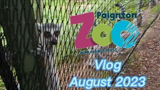 Paignton Zoo Vlog August 2023 [upl. by Bryna]