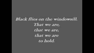 Ben Howard  Black Flies Lyrics [upl. by Odeen]