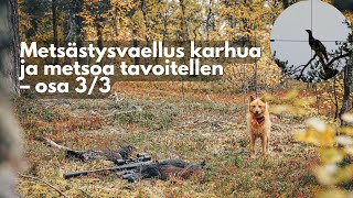 Metsästysvaellus karhua ja metsoa tavoitellen OSA 3  Erältä ja Elämästä [upl. by Ovid]