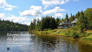 RESERVE FAUNIQUE DES LAURENTIDES AU QUÉBEC [upl. by Coffin398]