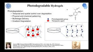 How to Better Design Biomedicine Polymeric Materials and Nanomaterials Webinar [upl. by Canada]