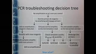 PCR amp qPCR Troubleshooting  Part 4 [upl. by Nyloj692]