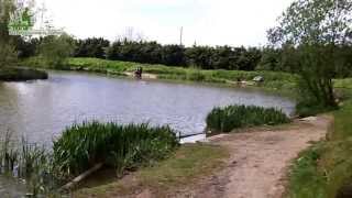 FishingWirralcouk Lingmere Fishery [upl. by Kabob203]