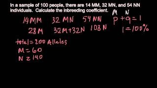 How to calculate the inbreeding coefficient [upl. by Aniraz]