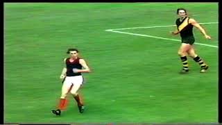 1975 Grand Final Norwood 910 64 d Glenelg 710 52 [upl. by Desirea]