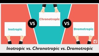 Discuss Chronotropic Inotropic Dromotropic Bathmotropic actions and Idioventricular rhythm [upl. by Nadine]