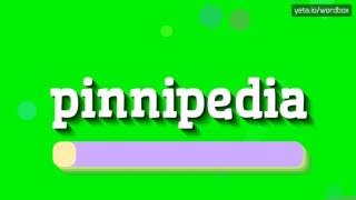 PINNIPEDIA  HOW TO PRONOUNCE IT [upl. by Noreen]