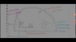 लवक plastid और इसके प्रकार  हरित लवक chloroplast  बेस्ट नोट्स और ट्रिक [upl. by Ephrayim]