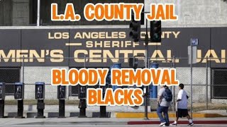 LA COUNTY JAILTHERES BLOODSHED EVERYDAY [upl. by Struve]