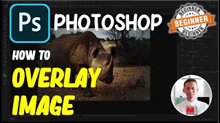 Photoshop How To Overlay Images [upl. by Shirah]