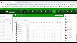 ESPN Fantasy Football  Using the Interface and How to Draft [upl. by Hibbitts]