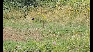 KOFS 410 clay pigeon shooting at Colerne Clay Club 4th August 2024 [upl. by Anoiuq978]