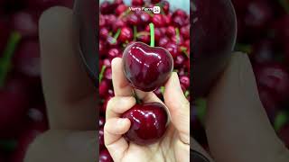 Juicy Cherries Grown in China Fresh and Flavorful shorts cherries farmer [upl. by Alexandre]