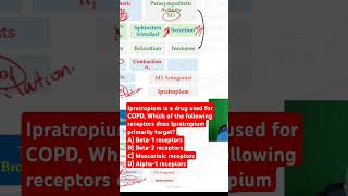 Which of the following receptors does Ipratropium primarily target [upl. by Wilen]