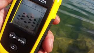 Lucky fish finder is scam tested [upl. by Lillian71]