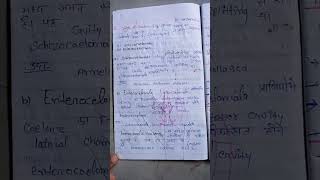 organization of coelommsczoology 1sem 2pepar Hindi notes [upl. by Lliw823]