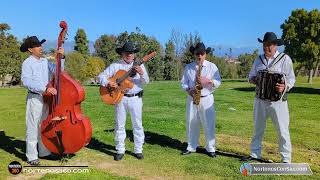 El sonido del Sax La Cruz de Madera Norteños Con Sax y Tololoche en el Cementerio norteñasconsax [upl. by Wald]