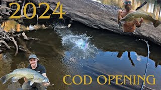 Land based Murray COD fishing in Central West NSW Spinner baits and Surface Lures [upl. by Aliakim]