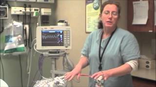 Introduction to Capnography [upl. by Culley919]