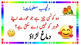 Urdu Paheliyan  Paheliyan In Urdu  Riddle in Urdu  Gernal Knowledge  With Answers  Skyways [upl. by Najib]