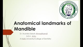 Anatomical landmarks of maxilla part  NEET MDS BDS [upl. by Nairb]