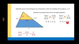 Primer y Segundo Teorema de Tales  Ejemplos [upl. by Nalehp701]