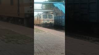 Express Train Passing Plateform shorts shortsfeed viralshort ytshorts train express track [upl. by Kentigera]