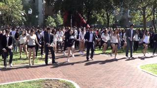 University of Pennsylvania Flash Mob  GANGNAM STYLE [upl. by Onitnevuj471]