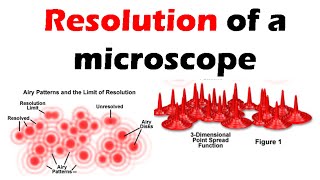 Resolution of a microscope [upl. by Gnohc]