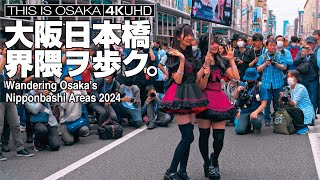 大阪日本橋界隈ヲ歩ク Nipponbashi Street Festa 2024 Cosplay Street Event Osaka Japan [upl. by Htebazle]