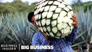 Mezcal Is The FastestGrowing Liquor In The US Why Arent Mexican Producers Cashing In [upl. by Hibbs]