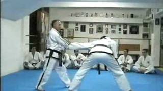 Taekwondo ITF Self Defense [upl. by Still74]