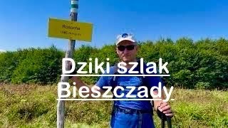 86 Bieszczady Hyrlata 1103 m Gdzie iść na dziki szlak w Bieszczady 🇵🇱4K [upl. by Asp]