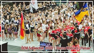 ÖCM Schwechat 2019  Vienna Wildcats Pumas [upl. by Kendra700]