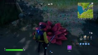 OBTENIR UNE GRAINE DE BROUSSAILLE SUR LÉTRANGE FLORAISON EMPLACEMENT DÉFI FORTNITE CHAPITRE 3 [upl. by Lise]