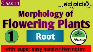 Class 11 ಕನ್ನಡದಲ್ಲಿ  Morphology of Flowering Plants  01  Root [upl. by Harsho]