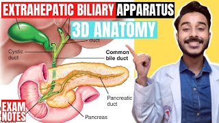 Anatomy of LIVER amp Extra Hepatic Biliary Apparatus  by Dr Yusuf [upl. by Ikkiv]