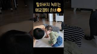 할아버지 녹이는 애교쟁이 손녀👶💛babyshorts baby 아기 cute baby [upl. by Kathlene]