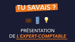 Le métier d’expert comptable [upl. by Eelirol]