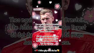 Nottingham Forest đã đạt được thoả thuận để mượn James WardProwse [upl. by Letty]