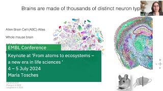 Brain evolution reconstructing the origins of the cerebral cortex [upl. by Kenison]