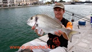 Pêche des grosses dorades de Sète par Europêche34 [upl. by Nylecoj399]