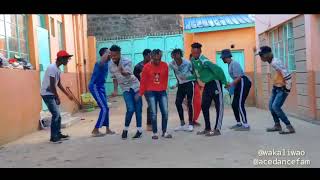 Dj Madness Fess ka fe bang Dance Video MOB Dancers [upl. by Rabah]