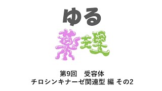 ※全画面表示で見てください！ 第9回 受容体 チロシンキナーゼ関連型編 その2 [upl. by Esirahc]